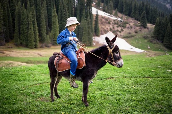 https://st2.depositphotos.com/1009905/10620/i/450/depositphotos_106203654-stock-photo-boy-rides-a-donkey.jpg